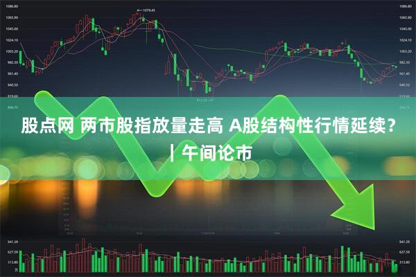 股点网 两市股指放量走高 A股结构性行情延续？｜午间论市