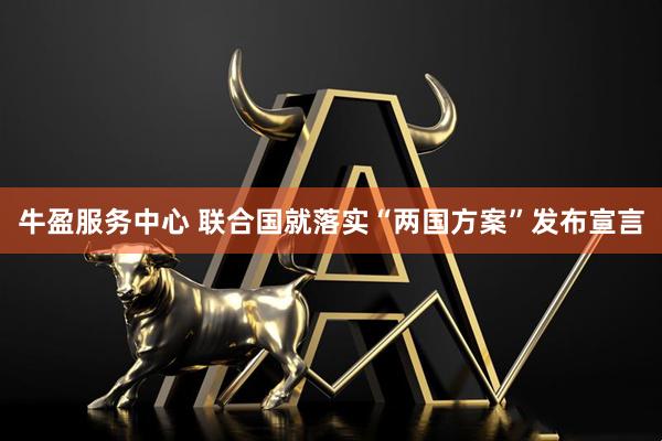 牛盈服务中心 联合国就落实“两国方案”发布宣言